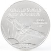 Platinum American Eagle, $100 One Ounce Platinum (1997-Present)